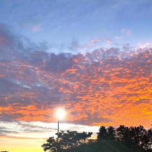 烟酒醉人不醉心