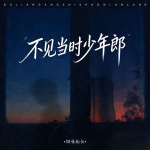 不见当时少年郎
