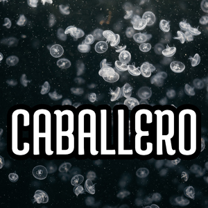 Caballero