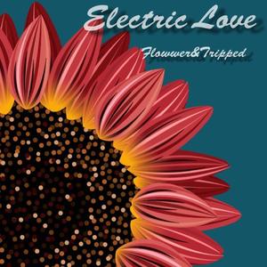 Various Artists-Electric Luv（Tripped / Flowwer remix）