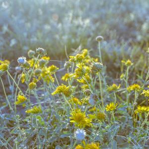 幸识（钢琴版）