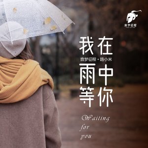 我在雨中等你