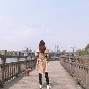 小幸运（翻自 简弘亦）