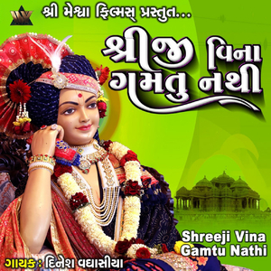 Shreeji Vina Gamtu Nathi