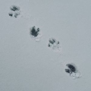 一半(Prod.by Morrow)