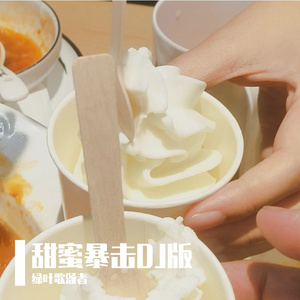 甜蜜暴击DJ版