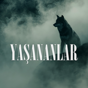 Yaşananlar