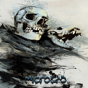 Ilusions (Original Mix)