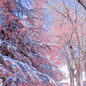 风不会停 我对你的爱也是