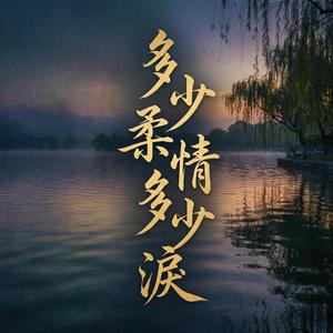 多少柔情多少淚