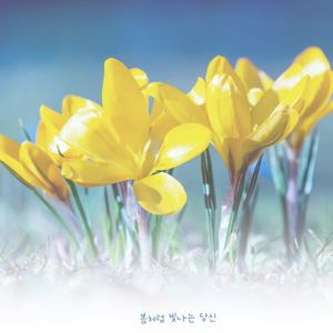 조용히 읽는 마음