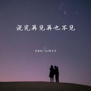 说完再见再也不见
