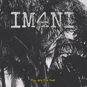 You're the Fuel (Visualizer)