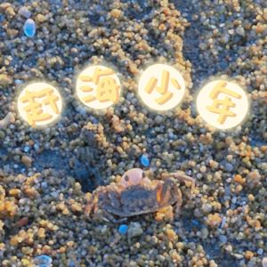 赶海少年demo