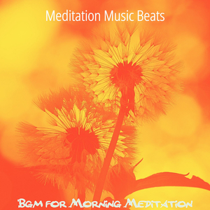 Spectacular Shakuhachi and Harps - Vibe for Prana