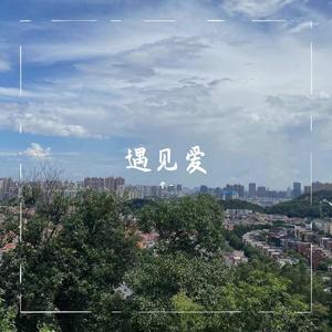 只要遇见你