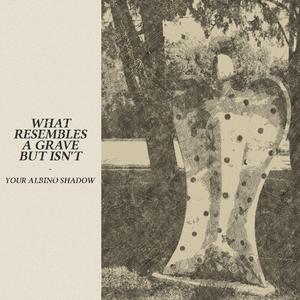 Neophytes at the Art of Communication