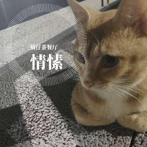 情愫 伴奏