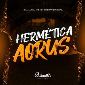 Hermética Aorus