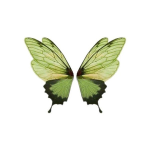 梦的光点（cover王心凌）