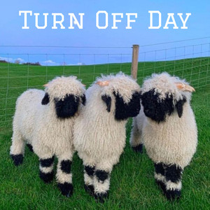 Turn Off Day