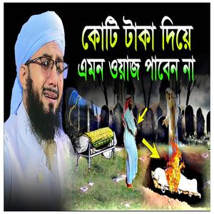 ১ কোটি টাকা দিয়ে এমন ওয়াজ পাবেন না !