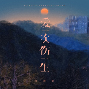 爱一次伤一生 (DJ Eva版)