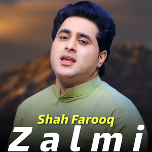 Zalmi