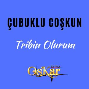Tribin Olurum