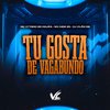 DJ Vilão DS - Tu Gosta de Vagabundo