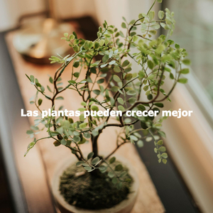 Sultry Backdrops for Magical Saturday