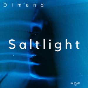 Saltlight (Radio Edit)