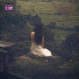 Red Zone (feat. Capitaine Kane)