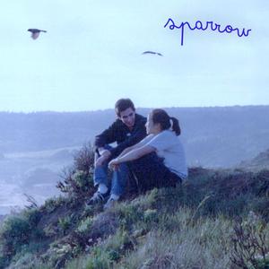 Sparrow