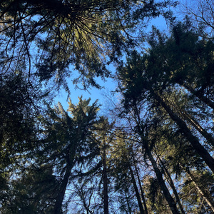 0107 (Live from Nowhere Known)