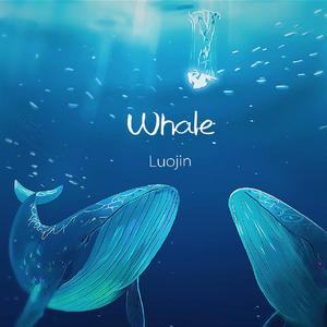 Whale