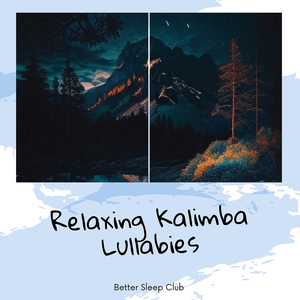 Seeking Silence - Night Sound