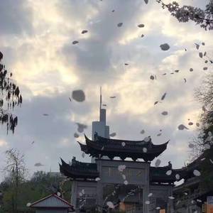 杀死那个石家庄人