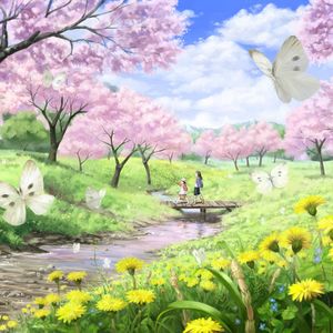 华年（Cover 只有影子）