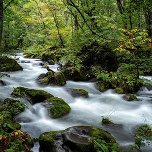 养生足疗馆（钢琴）