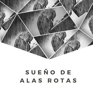 Sueño de Alas Rotas