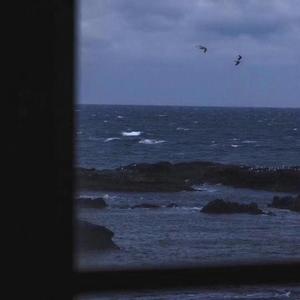 坠落(就别抱紧我 别安慰我）