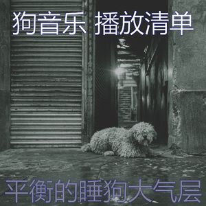一尘不染训练犬印象数