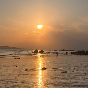 镜子里的流浪者