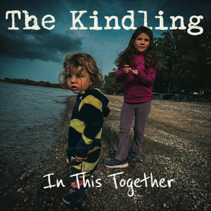 The Best Cats Are Grey