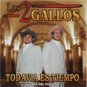 Por Mi Pobreza