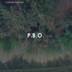 PBO