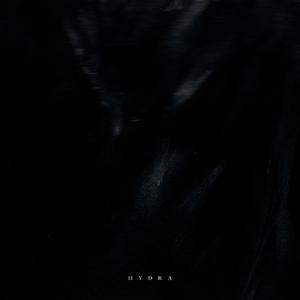 Hydra