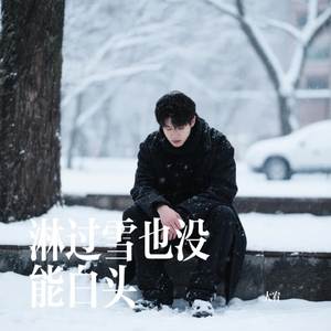 淋过雪也没能白头