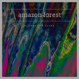 Spirits of the Woods